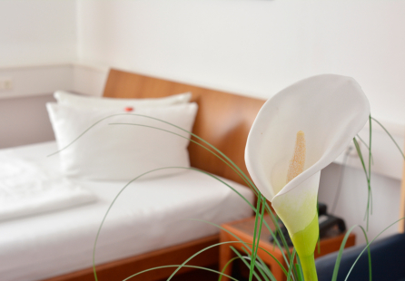 Hanse-Klinik GmbH Lübeck • Fachklinik für Liposuktion beim Lipödem 5 Hanse-Klinik GmbH Lübeck • Fachklinik für Liposuktion beim Lipödem 5